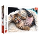 Trefl Puzzle 1000el Wesoły Kotek