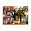 Trefl Puzzle 1000el Kocie Spotkanie 10555
