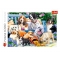 Trefl Puzzle 1000el