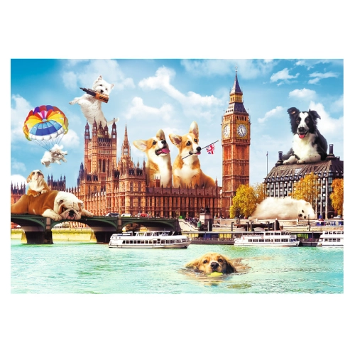 Psy w Londynie 10596