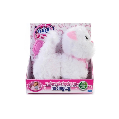 Biały kotek na smyczy