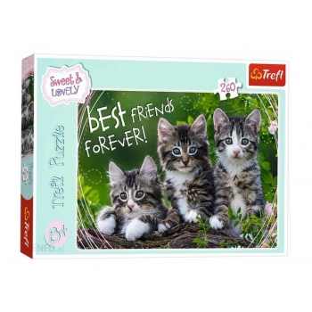 Trefl Puzzle 260el