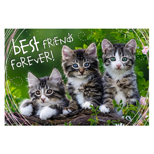 Sweet & Lovely. Kocia Przyjaźń 13215