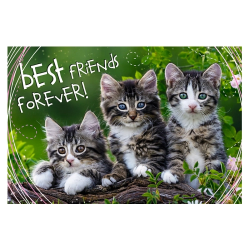 Sweet & Lovely. Kocia Przyjaźń 13215