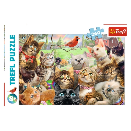 Puzzle 260el Kotki MGL 13241