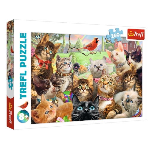 Trefl Puzzle 260el