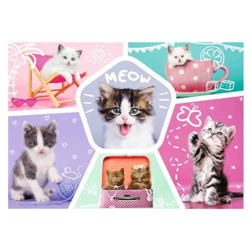 Kocie Figle MEOW 13247