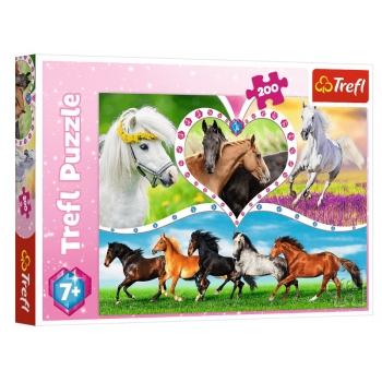 Trefl Puzzle 200el