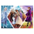 Puzzle 200el Siostry w Krainie Lodu 13249