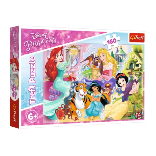 Księżniczki i przyjaciele 15364