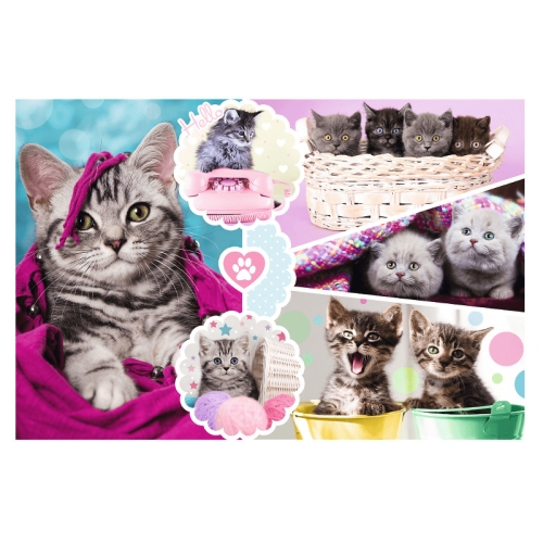 Puzzle 160el Urocze Kotki 15371