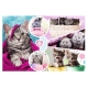 Puzzle 160el Urocze Kotki 15371