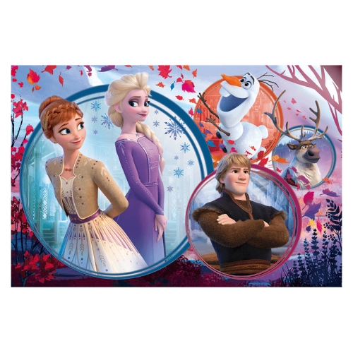 Siostrzana Przygoda. Disney Frozen 15374