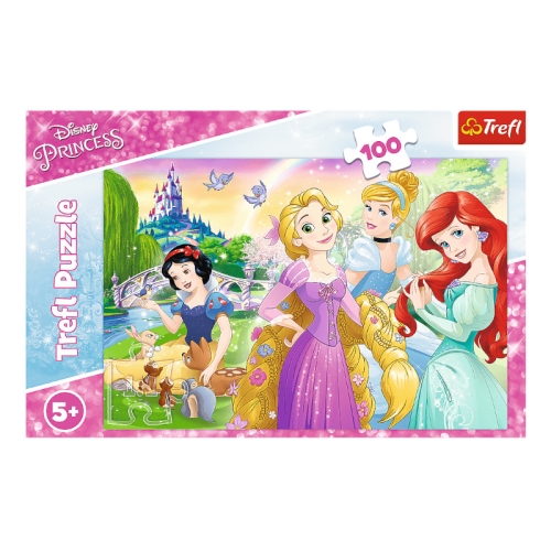 Marzenie o Byciu Księżniczką. Księżniczki 16393