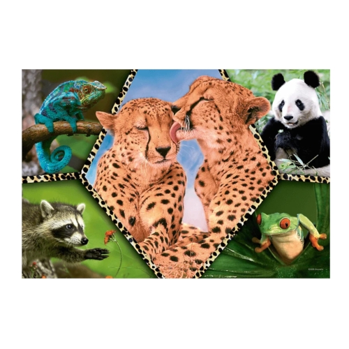 Puzzle 100el Piękno natury Trefl 16424