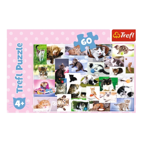 Trefl Puzzle 60el Koci Świat 17332