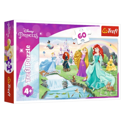 Poznaj Księżniczki Disney 17361