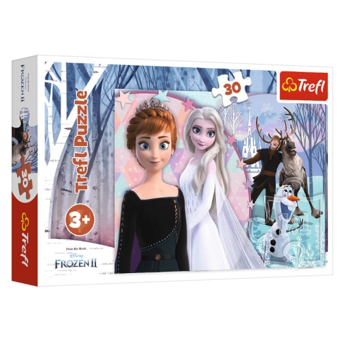 Trefl Puzzle 30el Magiczna Kraina