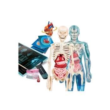 Naukowa Zabawa Doświadczenia Super Anatomia 50919