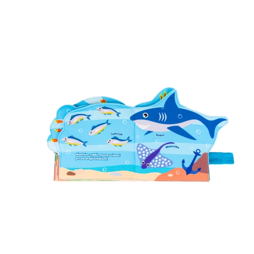 JB 80464 książeczka edukacyjne