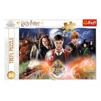 Puzzle Harry Potter 23001