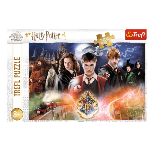 Puzzle Harry Potter 23001
