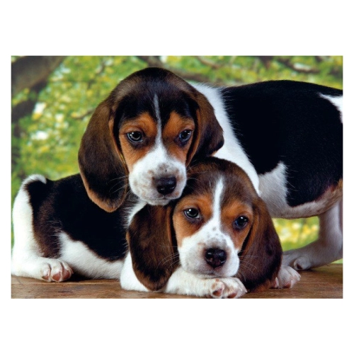 Puzzle 500el Szczeniaczki Close Together 30289