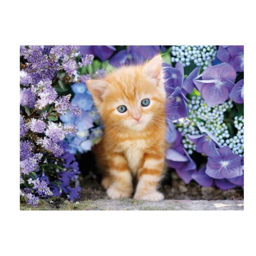 Puzzle 500el Rudy Kotek 30415