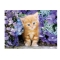 Puzzle 500el Rudy Kotek 30415