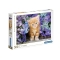 Clementoni Puzzle 500el Rudy Kotek