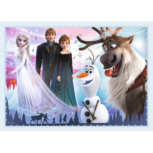 Frozen Puzzle