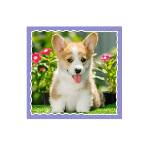 Trefl Puzzle 3w1 Urocze pieski 34854