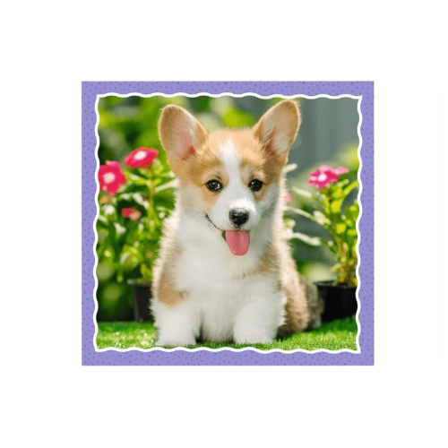 Trefl Puzzle 3w1 Urocze pieski 34854