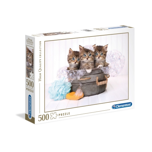 Kociaki w kąpieli 35065