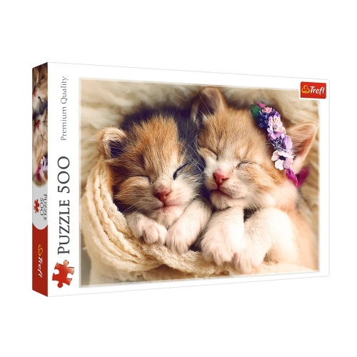 Trefl Puzzle 500el Śpiące kotki 37271