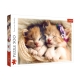 Trefl Puzzle 500el Śpiące kotki 37271