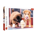 Trefl Puzzle 500el Pora na lody 37272