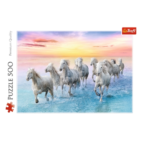 Baiłe Konie w Galopie 37289