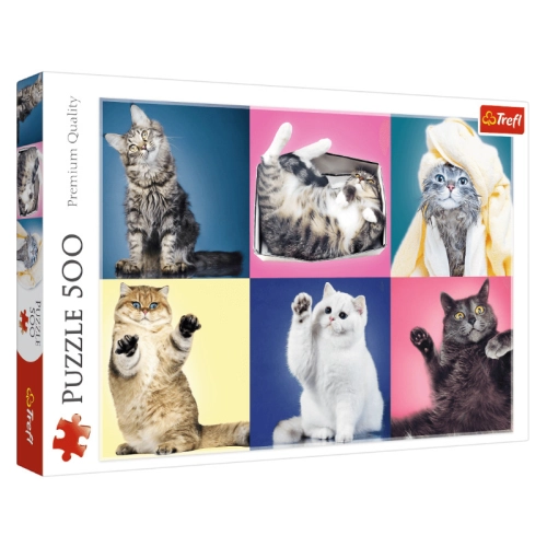 Trefl Puzzle 500el Kociaki 37377