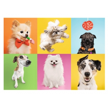 Puzzle 500el Psy 37378