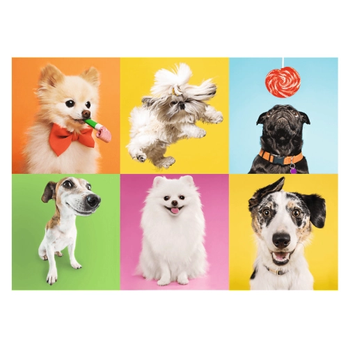 Puzzle 500el Psy 37378