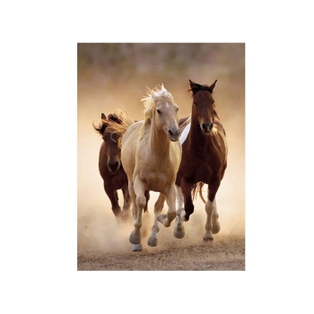 Clementoni Puzzle 1000el Konie