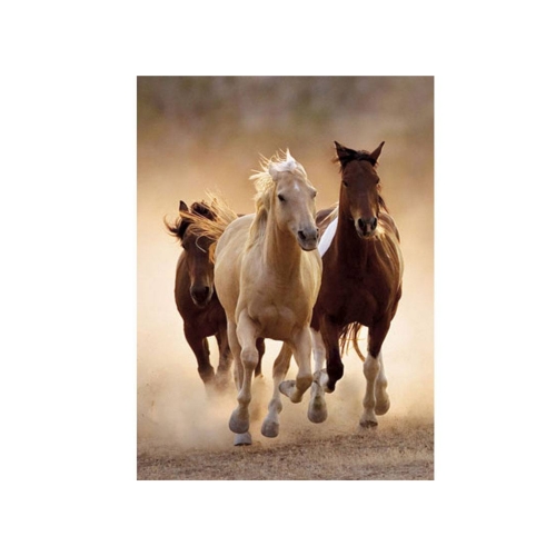 Clementoni Puzzle 1000el Konie