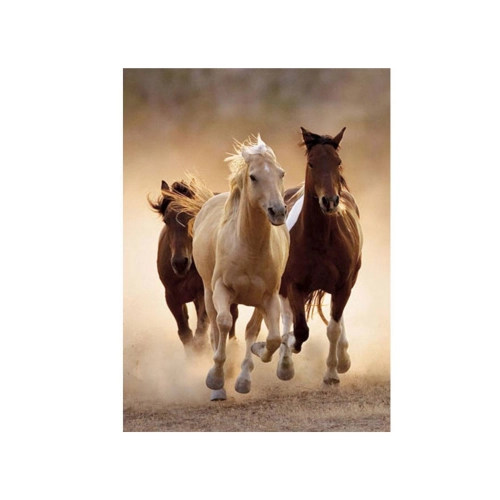 Clementoni Puzzle 1000el Konie