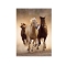 Clementoni Puzzle 1000el Konie
