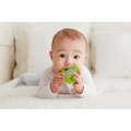 Gryzak Grzechotka Dla Niemowląt Kaktus GiliGums 45513