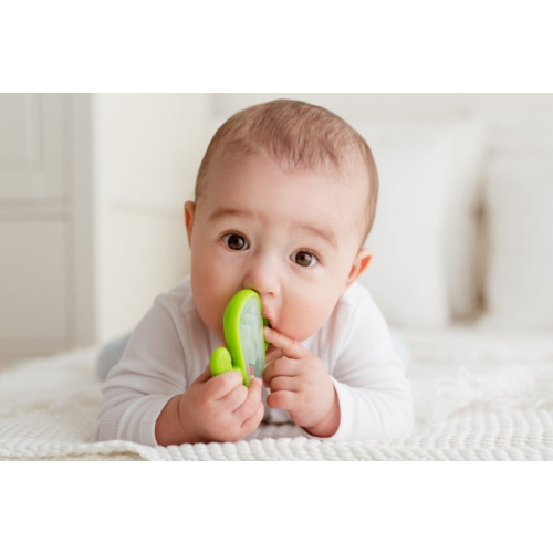 Gryzak Grzechotka Dla Niemowląt Kaktus GiliGums 45513