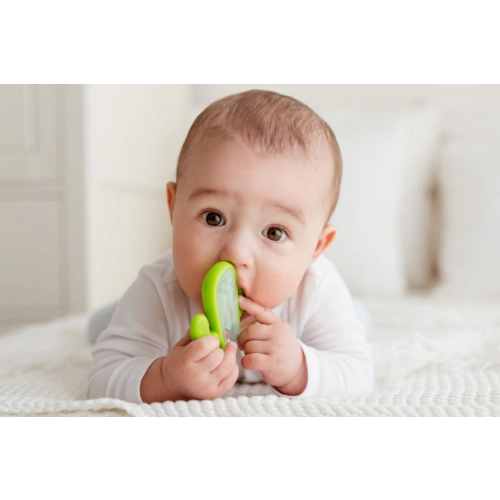 Gryzak Grzechotka Dla Niemowląt Kaktus GiliGums 45513