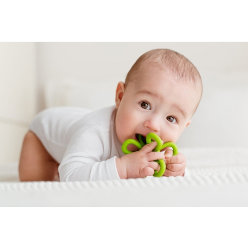 Gryzak grzechotka kwiatek zielony GiliGums 45575