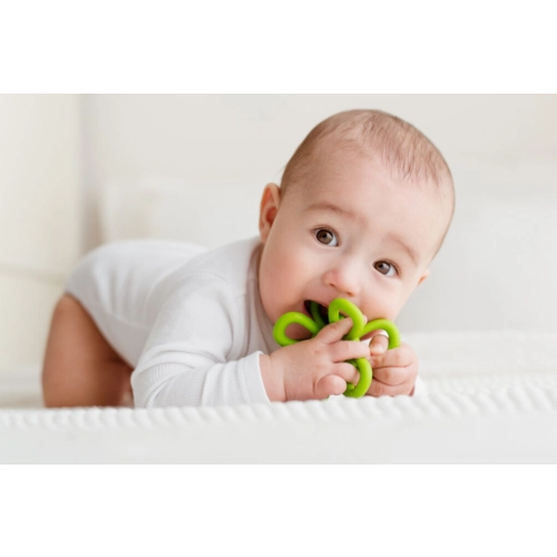 Gryzak grzechotka kwiatek zielony GiliGums 45575